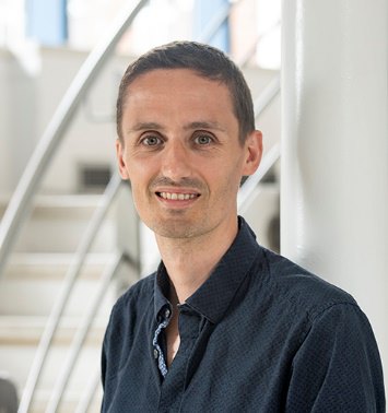 prof. Stephen M. Goldup