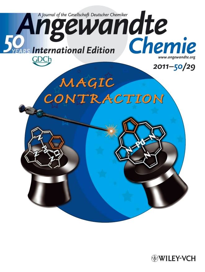cover 1